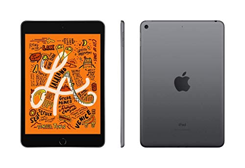 2019 Apple iPad mini (de 7,9 pulgadas, con Wi-Fi, 256 GB) - gris espacial (5.ª generación)