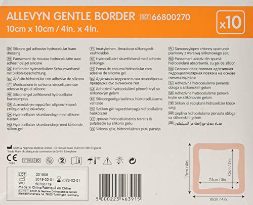 ALLEVYN Gentle Border - Apósitos acolchados (10 cm x 10 cm, 10 unidades)