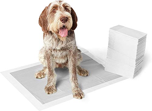 Amazon Basics - Empapadores de adiestramiento para perros, carbón, extragrande, 50 unidades