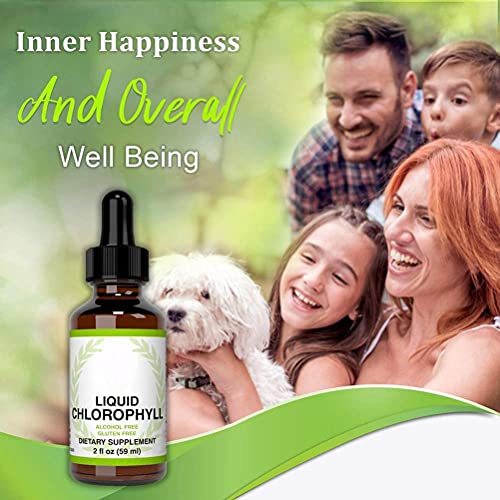 ARTOCT Liquid Chlorophyll Drops for Water,59ml All-Natural Concentrate Energy Booster Digestion and Immune System Supports Natural Deodorant