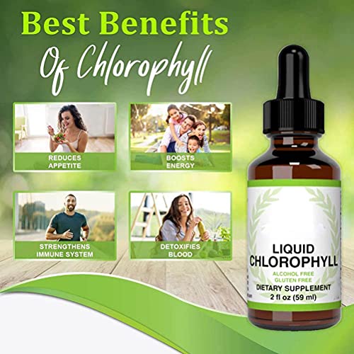 ARTOCT Liquid Chlorophyll Drops for Water,59ml All-Natural Concentrate Energy Booster Digestion and Immune System Supports Natural Deodorant