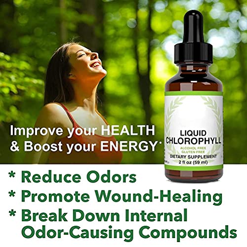 ARTOCT Liquid Chlorophyll Drops for Water,59ml All-Natural Concentrate Energy Booster Digestion and Immune System Supports Natural Deodorant