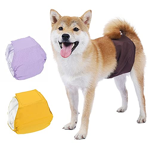 BePetMia Pañales Lavables para Perros machos, Ropa Interior higiénica para Cachorros, Perros en celo e incontinencia, 5 Tallas para Perros pequeños, medianos y Grandes (XS: 22-32cm, Set-2)