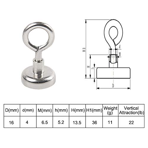 Bkinsety 12 Piezas Imanes de Neodimio, 16mm ganchos magneticos 5.5kg Fuerza de Tracción Imán Redondo