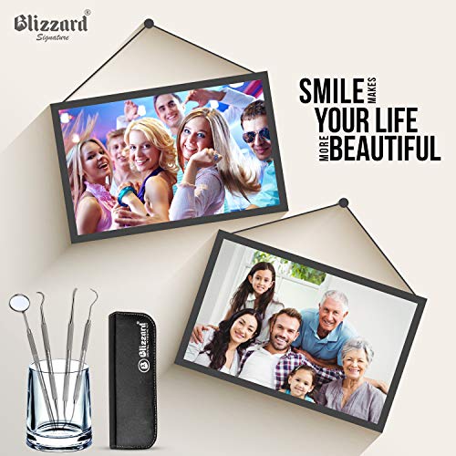 Blizzard - Kit Dental para Remover Placas 4pzs, Espejo, Instrumento Periodontal, Raspador de Hoz y Cincel de Doble Punta - Herramientas de Higiene Bucal de Forjado Alemán para Uso Profesional