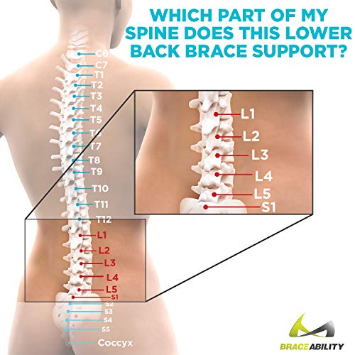 BraceAbility Brazo de dolor de espalda y columna vertebral | Soporte de corsé ajustable para distensión lumbar, artritis (talla única, para hombres y mujeres con cintura de 28"- 60")