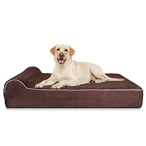 Cama ortopédica de Espuma viscoelástica con Almohada para Perros, Incluye Protector Interior Impermeable y Funda extraíble