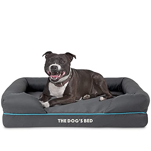 Cama ortopédica de espuma viscoelástica para perro, tamaño mediano, gris con borde azul, alivia el dolor de artritis y displasia de cadera, terapéutico y de apoyo, funda de tela Oxford lavable