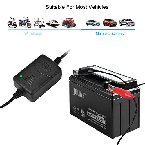 Cargador de Batería 12V 1300 mA con Protecciones Múltiples Inteligente Mantenimiento Automático para Batería de Plomo ácido Sellada de Motocicletas, Coche, Automóviles