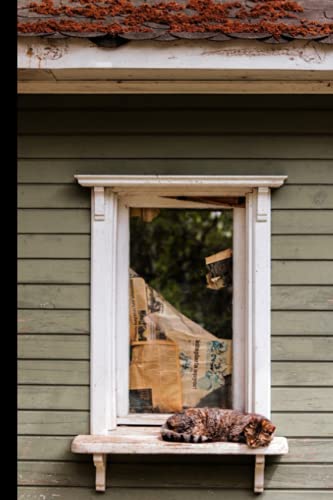 Cat on a Window Sill Journal (Puuuurfect Kitties)