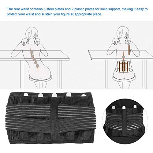 Cinturón de soporte lumbar para la espalda para el alivio del dolor de espalda baja y la prevención de lesiones Faja lumbar ajustable y paneles de malla transpirable (XL)