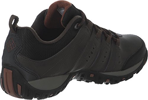 Columbia Men’s Peakfreak Nomad Waterproof Shoes, Zapatillas Hombre, Marrón (Cordovan Cinnamon), 42 EU