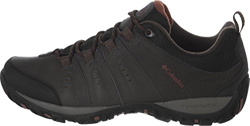 Columbia Men’s Peakfreak Nomad Waterproof Shoes, Zapatillas Hombre, Marrón (Cordovan Cinnamon), 42 EU