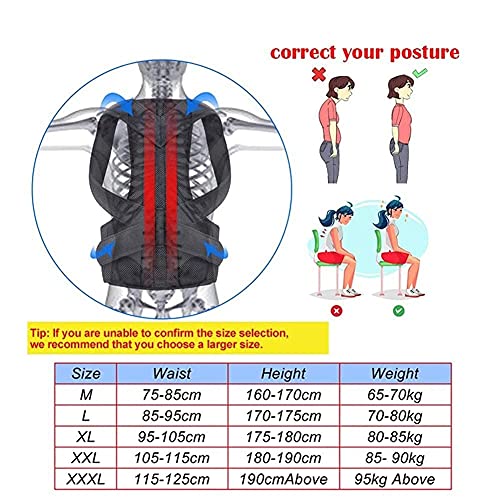 Corrector de postura de espalda Hombro Soporte lumbar Cinturón de soporte para la columna Corsé ajustable para adultos Cinturón de corrección de postura Cuidado de la salud corporal (Color: Negro,