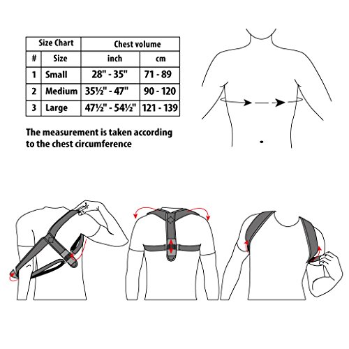 Corrector postural “Gracia”; soporte terapéutico ajustable para el cuello y la espalda; para la clavícula; Corsé Ortopédico para Escoliosis Cifosis; Alivio del Dolor de Espalda Small