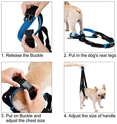 DHGTEP Arnés para Perros De Ayuda para La Columna Vertebral para El Arnés De Rehabilitación De Patas Traseras Ajustable con Asa para Las Lesiones De Los Perros Y La Artritis (Size : S)