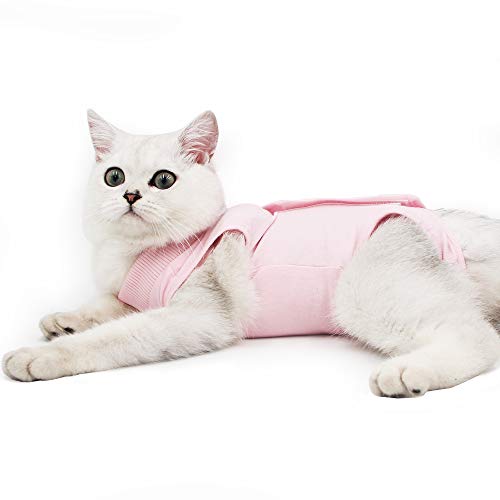 Dotoner Gatos Traje de recuperación Profesional para heridas Abdominales o Enfermedades de la Piel Alternativo para Gatos y Perros después de la cirugía Ropa para el hogar(Rosa,m)