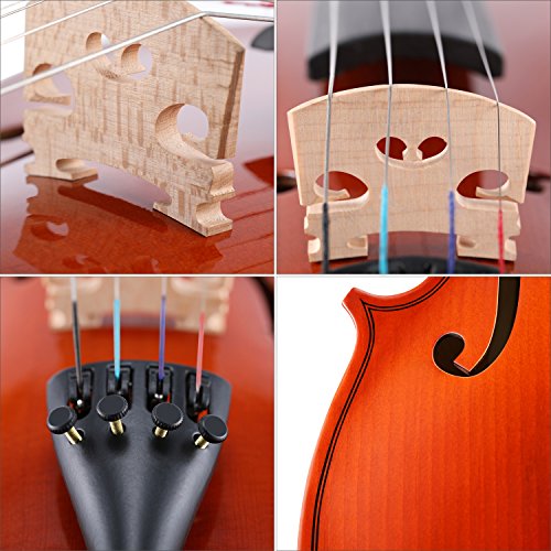 Eastar 4/4 Violín para Principiantes Violines Set Niños Adultos Violín Kit con Arco, Resina, Sintonizador de Clip y Cuerdas Extra (EVA-1)