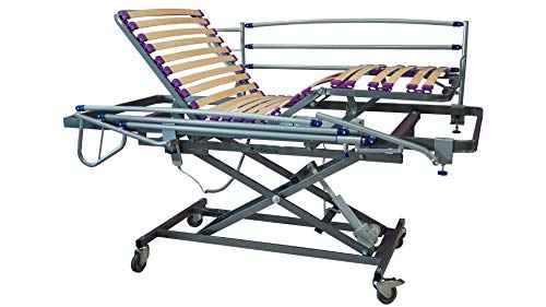 ekamia - Cama Geriátrica Eléctrica con Carro Elevador, Colchón Sanitario y Barandilla - 105cm x 190cm