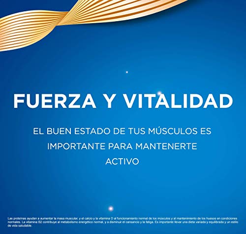 Ensure Nutrivigor - Complemento Alimenticio para Adultos, con HMB, Proteínas, Vitaminas y Minerales, como el Calcio - Sabor Chocolate - Pack de 8 Botellas x 220 ml