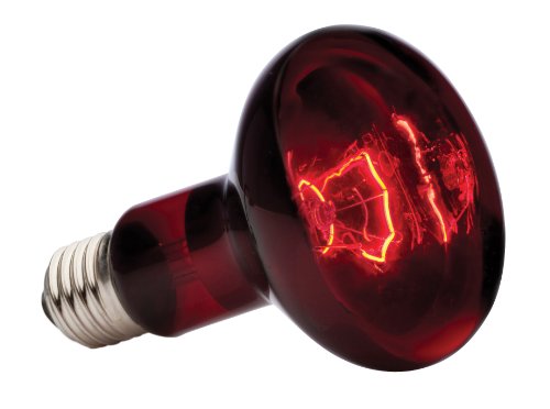 EXO TERRA Infra-Rojo Nocturno Heat GLO, 100W (PT2144A1)