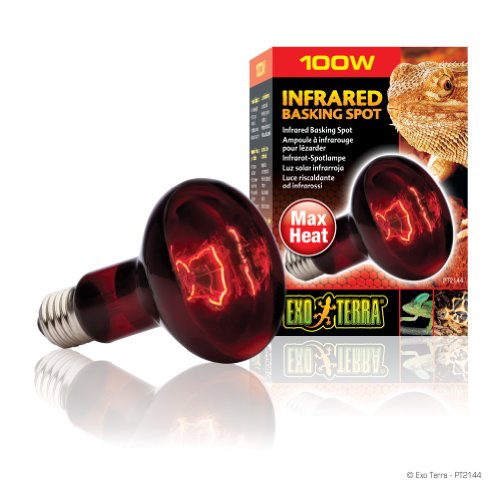 EXO TERRA Infra-Rojo Nocturno Heat GLO, 100W (PT2144A1)