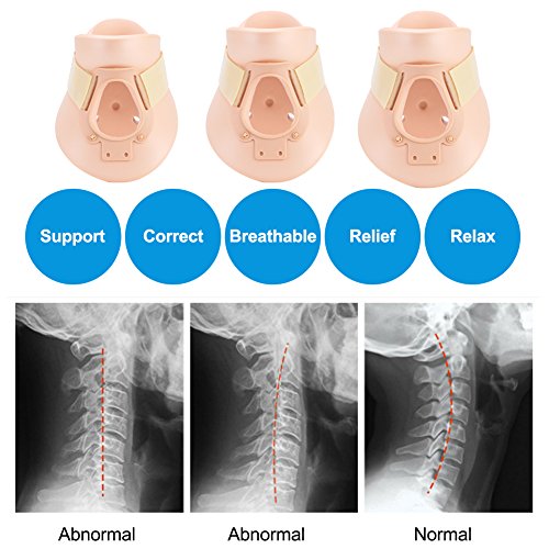 Fijación Columna Vertebral Cuidado de la Vértebra Cuello Ortopédico, Cuello de Cuello Cuello Ortopédico Alivio del Dolor, Cuello Cervical Filadelfia Corrección Protege Su(L (16cm in height))