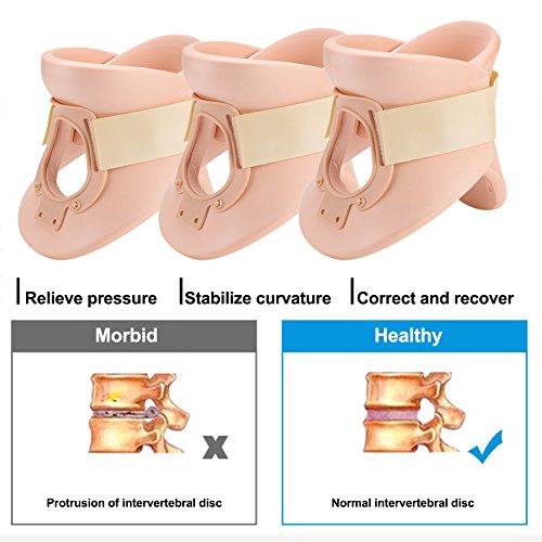 Fijación Columna Vertebral Cuidado de la Vértebra Cuello Ortopédico, Cuello de Cuello Cuello Ortopédico Alivio del Dolor, Cuello Cervical Filadelfia Corrección Protege Su(L (16cm in height))