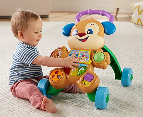 Fisher-Price Ríe y Aprende - Andador Perrito Primeros Pasos, Correpasillos Bebé +6 meses (Mattel FRC85), Embalaje estándar