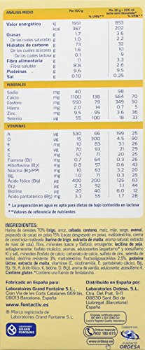 Fontactiv Cereales con Cacao 600 grs papilla de cereales de alto valor nutricional adaptada a las necesidades y requerimientos de adultos y personas mayores