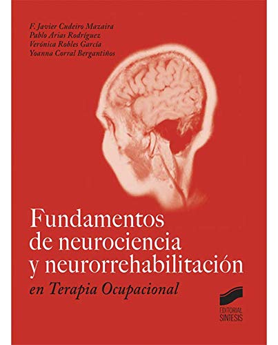 Fundamentos de neurociencia y neurorrehabilitación en Terapia Ocupacional