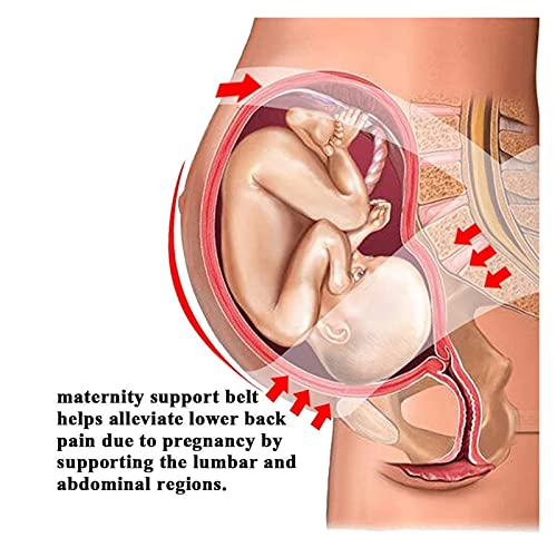 FYRGHZ Cinturón de Embarazo Banda para el Vientre Alivio del Dolor Cintura Espalda Abdomen Pélvico Maternidad Cinturón de recuperación posparto 3 en 1 (Color: Blanco, Talla: M) Harmonious Home