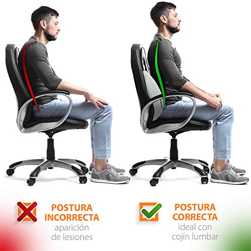 Gridinlux | Cojín Lumbar Carbono Ergonómico| Almohada de Soporte Lumbar Viscoelástico Memoria | Cojín Respaldo para Sillas, Sofás, Coche | Apoyo Espalda | Evita Dolor de Espalda | Fabricado en España