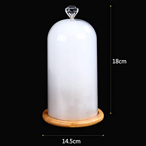 GYQZC Fumar Cloche Tapa de la Cubierta del Domo con Base de Madera, Pistola Humeante Accesorio Especializado para Cócteles de Comida Pistola de Fumador Placas Infusión para Fumar, Cuencos y Vasos