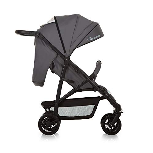 Hauck Rapid 4X Silla de paseo ligera desde nacimiento hasta 25 kg, Niños, Gris