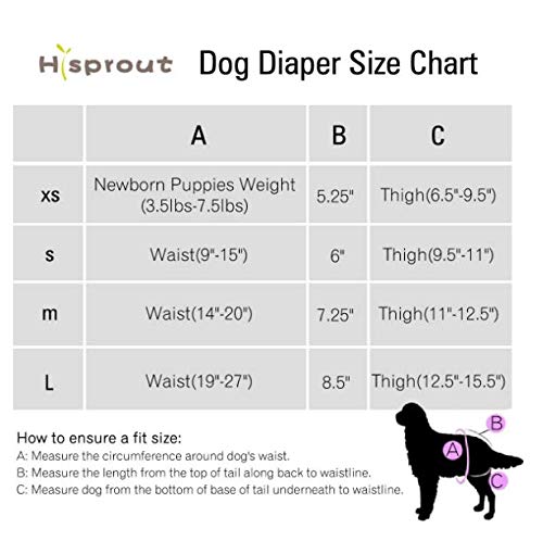 Hisprout Pantalones de pañales para perros duraderos,lavables y reutilizables Grande colorido Unión