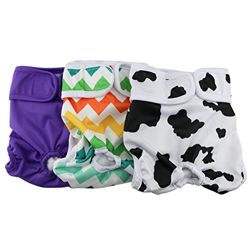 Hisprout Pantalones de pañales para perros duraderos,lavables y reutilizables Grande colorido Unión