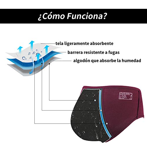 INNERSY Bragas Menstruales Absorbentes de Mujer para Período Algodón Pack de 3 (3XL-EU 48, Rojo+Azul+Gris)