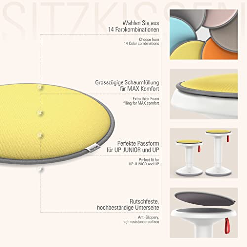 Interstuhl® UPis1 Cojín de Asiento Premium: cojín de Silla Especialmente cómodo, taburetes, sillas, Bancos y Suelos