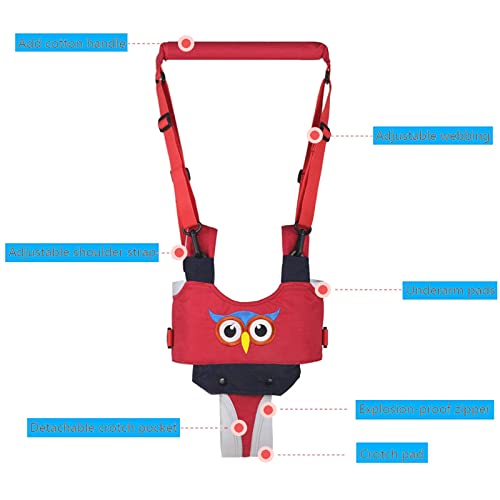 IULONEE Ayudante para caminar para bebés Asa ajustable Asistente para caminar para niños pequeños Niño de pie y para caminar Riendas de cinturón Arnés de seguridad para niños de 7 a 24 meses (Rojo)