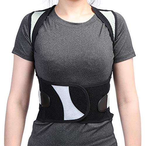 JIUYUE Corset Adulto Espalda Corsé Ortopédico Volver Postura Corrector Chaleco Columna de Soporte Lumbar Volver Postura Corrección Vendaje para Hombres Mujeres (Size : 3L)