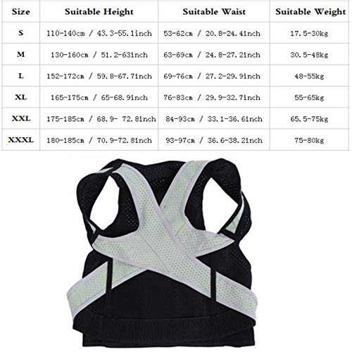 JIUYUE Corset Adulto Espalda Corsé Ortopédico Volver Postura Corrector Chaleco Columna de Soporte Lumbar Volver Postura Corrección Vendaje para Hombres Mujeres (Size : 3L)