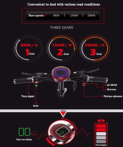 JJGS Scooter EléCtrico MinusváLido - Scooter Eléctrico de 3 Ruedas, 350W Motor Giratorio Sin escobillas, Batería de litio extraíble de 48V 20Ah, Ancianos discapacitados Inicio Coche eléctrico 48V/10AH