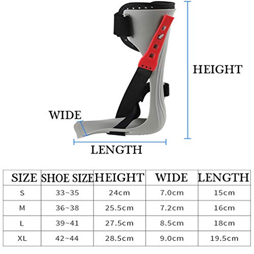 JM-D Soporte para ortesis de Tobillo y pie férula de Apoyo para pie caído, Ajuste de tensión de 4 Secciones, Puede Usar Zapatos Reducir el Dolor y el Edema,Right,XL