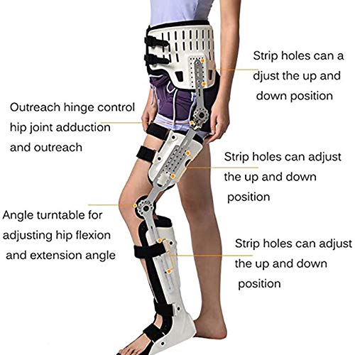 JMYSD Cadera, Rodilla, Tobillo, Pie, Ortesis, Fractura De Pierna, Parálisis De Miembro Inferior, Cadera Fija con Botas para Caminar, Ortesis, Cirugía De Rodilla, Soporte De Ligamento,Left,S