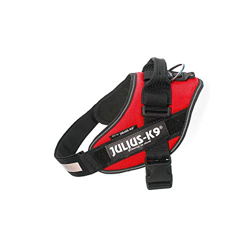 JULIUS-K9 IDC Arnés para perros, talla 0/M, 58–76 cm, peso 14-25 kg, Rojo,