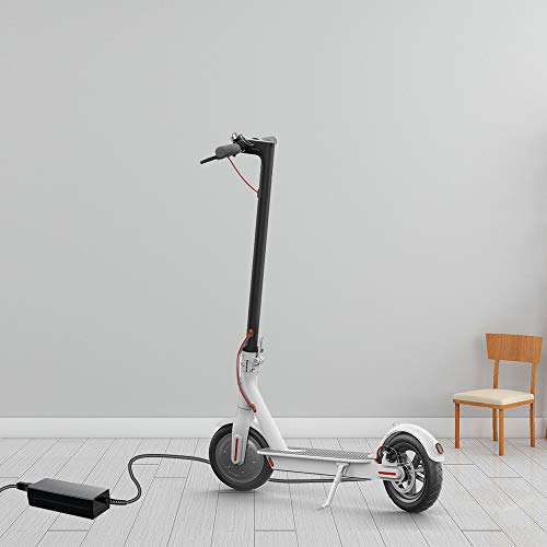 KFD 42V 2A Cargador Patinete Adaptador de Corriente Batería Scooter eléctrico para XIAOMI M365 Mobility Scooter, Spin, Skip, Segway Ninebot ES1 ES2 ES4, Bird&Lime, Lime, Lime-S 36V Batería de Litio