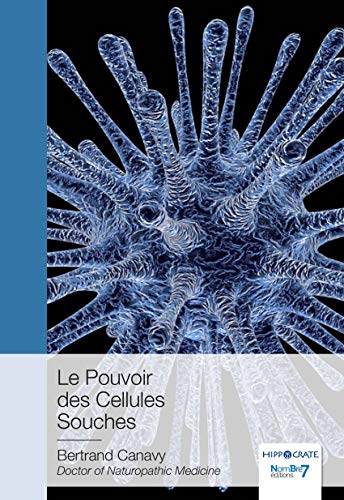 Le pouvoir des cellules souches