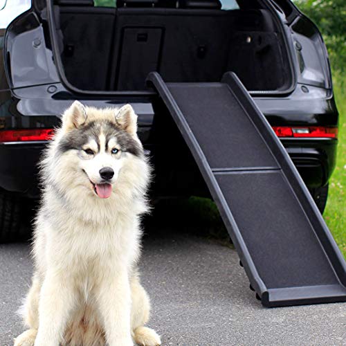 lionto by dibea Rampa plegable de plástico para perros para coche antideslizante 156 x 40 cm