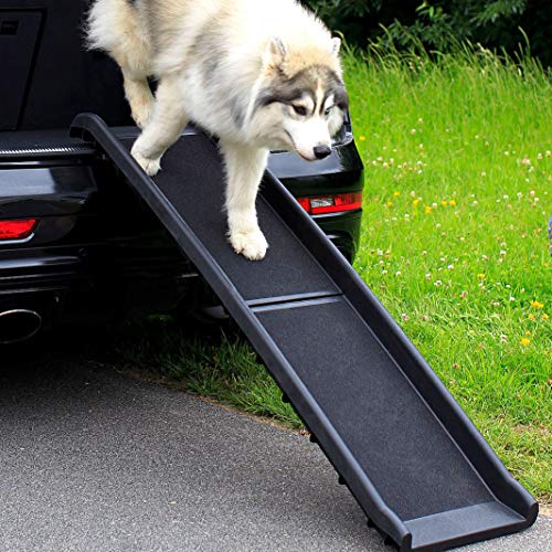 lionto by dibea Rampa plegable de plástico para perros para coche antideslizante 156 x 40 cm